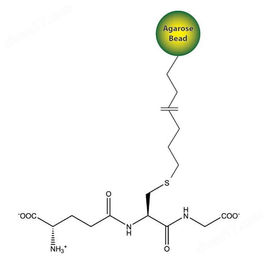 Glutathione Resin谷胱甘肽树脂