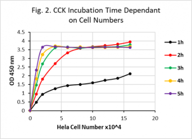 细胞计数试剂盒-8 (CCK-8)