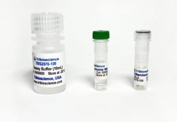 酪氨酸比色分析试剂Tyrosine Colorimetric Assay