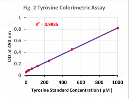 酪氨酸比色分析试剂Tyrosine Colorimetric Assay