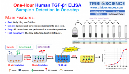 快速人TGF-β1 ELISA试剂盒