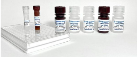 Fast Human MAPT/Tau (total) ELISA