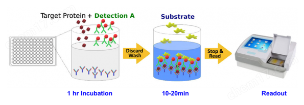 Human D-Dimer ELISA; 1 step and 1hr