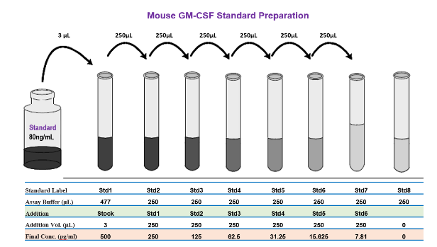 快速小鼠GM-CSF ELISA