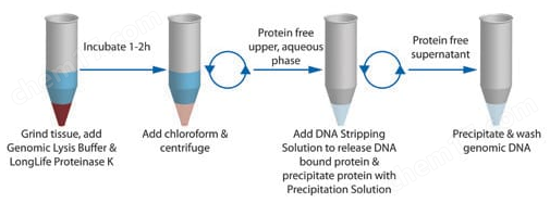 OmniPrep™ Genomic DNA Isolation