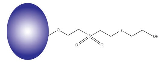 Thiophilic Adsorption Kit(嗜硫树脂试剂盒)