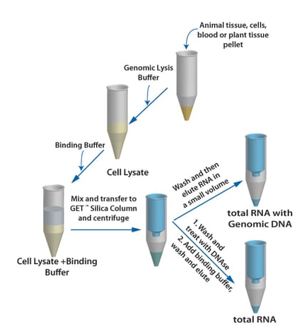 GET™ Total RNA