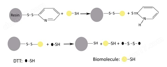 Thiopropyl Resin(硫丙基树脂)