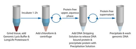 OmniPrep™ for Gram Positive Bacteria