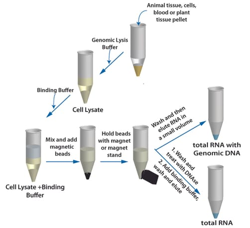 GET™ Total RNA-Mag