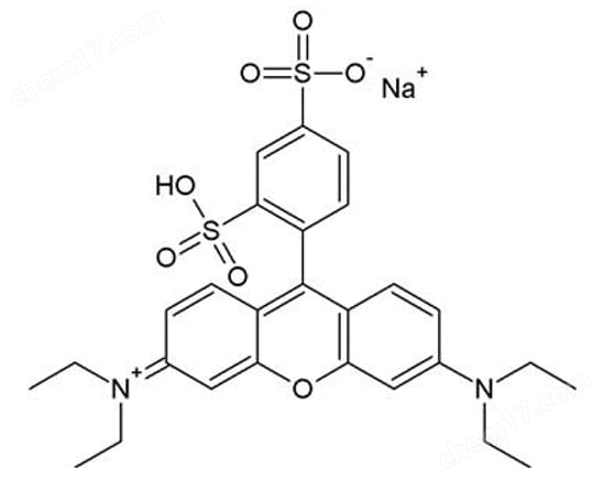 CytoScan™ SRB Cytotoxicity Assay