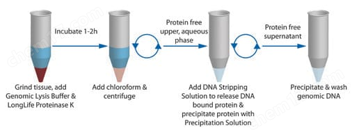 OmniPrep™ for Yeast