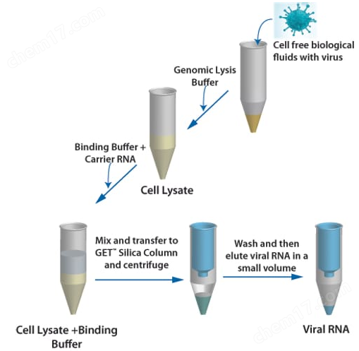 GET™ Viral RNA