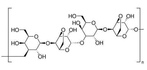 琼脂糖II(低熔点)Agarose II