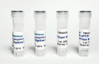 Curvularia Cymbopogonis qPCR Detection试剂盒