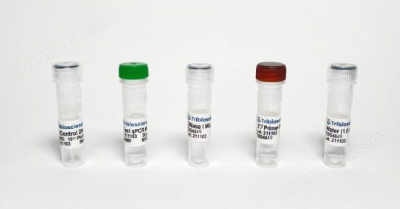 T7 Phage/Bacteriophage qPCR Titer