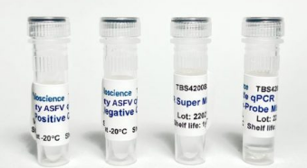 High-Fidelity ASFV TaqProbe qPCR Detection, 100 RXN