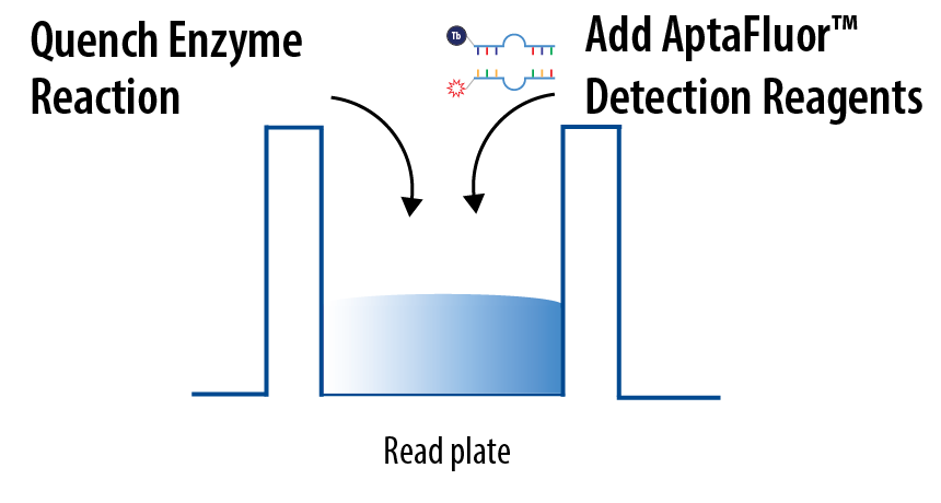 AptaFluor SAH甲基转移酶检测试剂盒